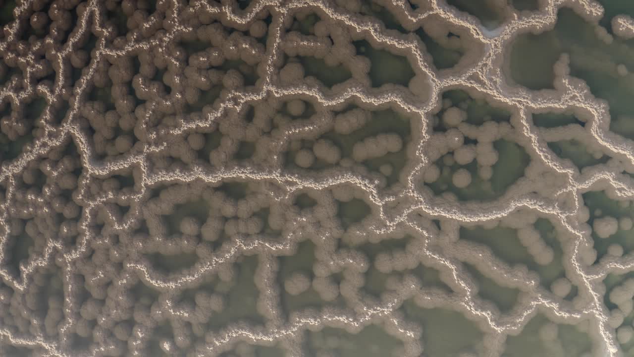 микробная текстура коврика