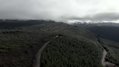 several tracts of forest land are harvested by clear cutting and replanting, aerial