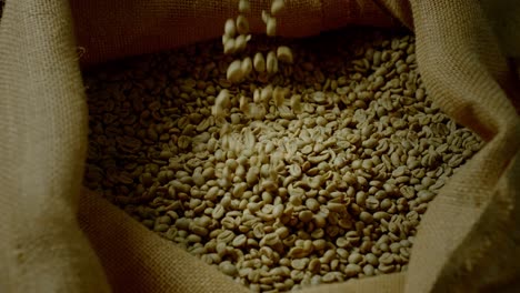 green coffee beans pouring into a burlap bag