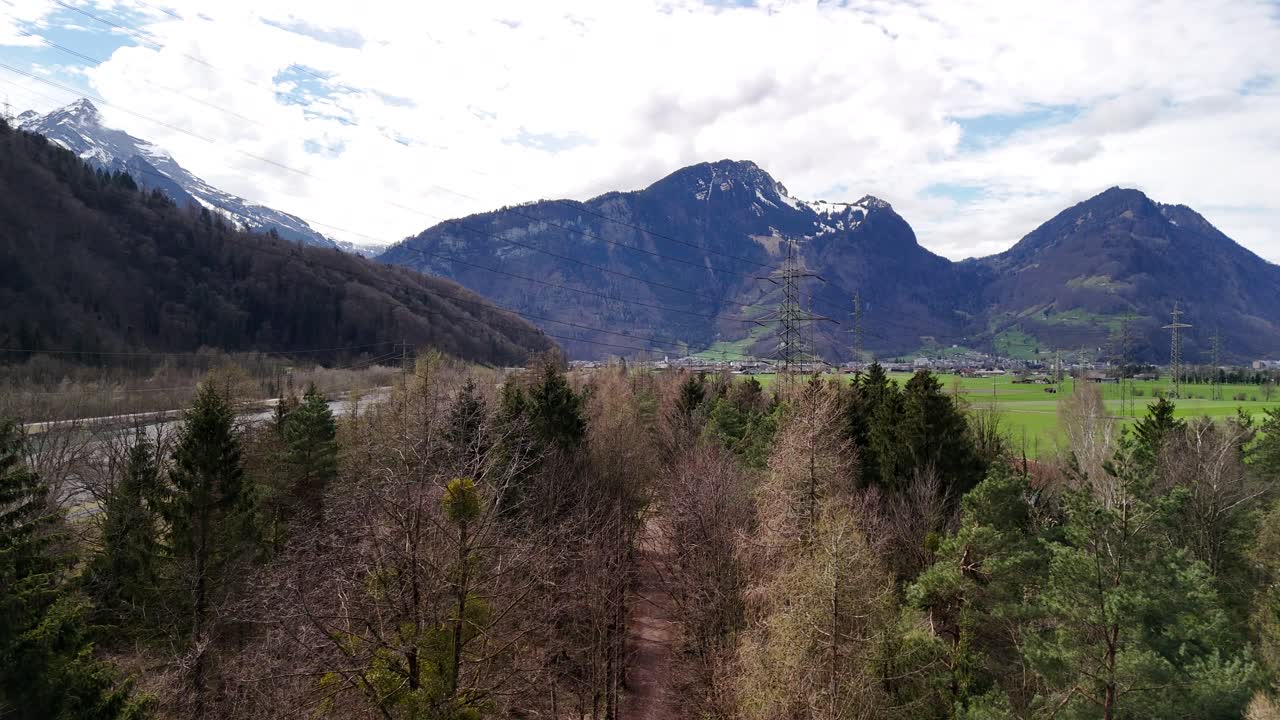 Evergreen spruce tree forest above canopy aerial drone mountain skyline Switzerland