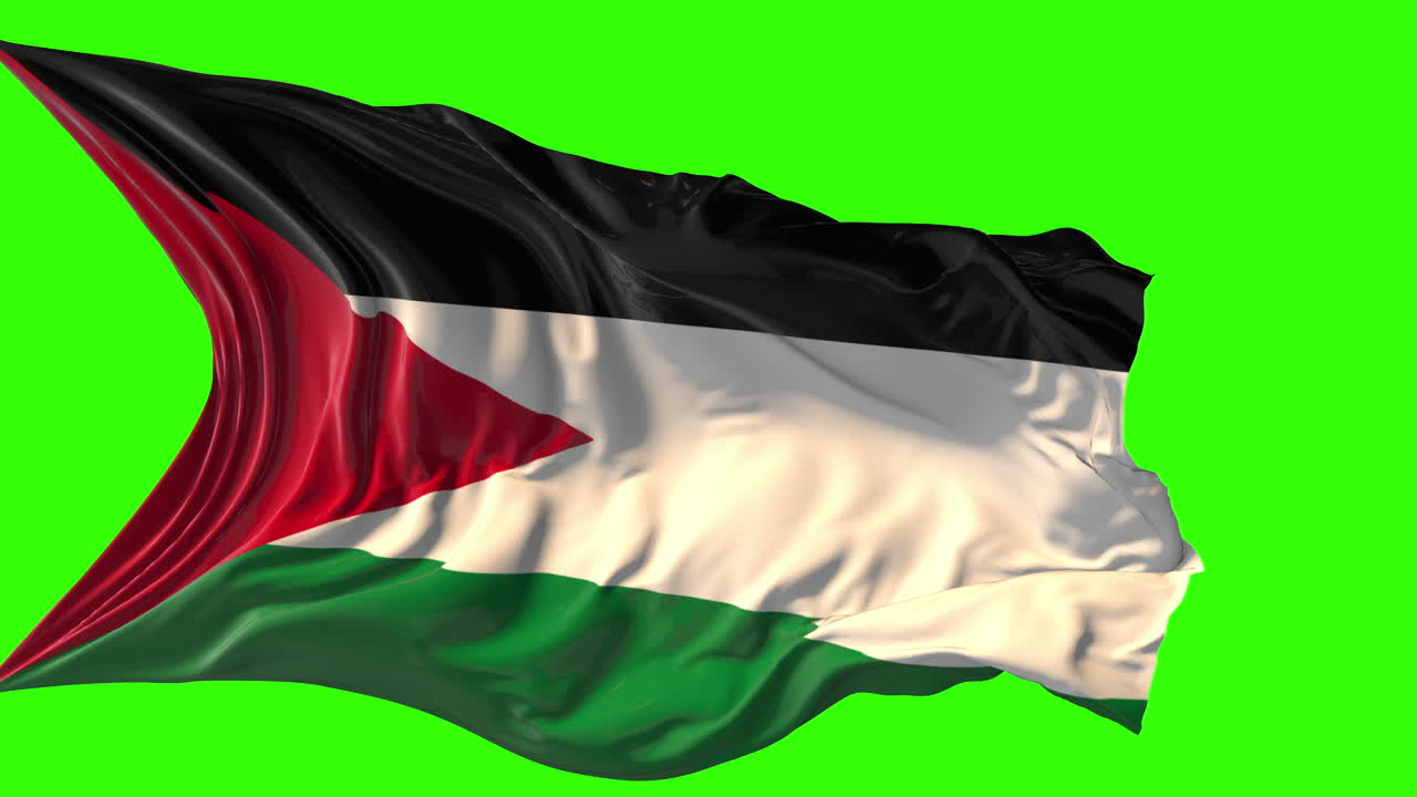 Waving Palestinian Flag on Green Screen