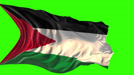 waving palestinian flag on green screen
