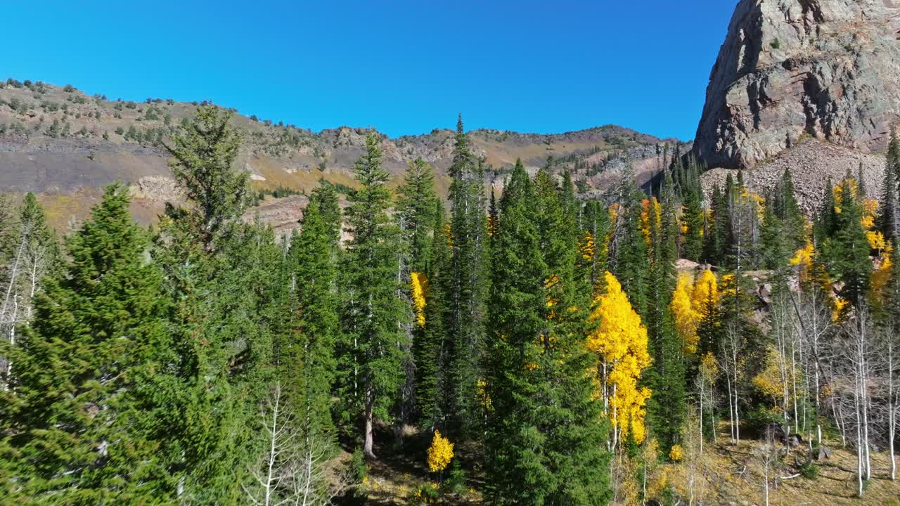 Volo aereo sopra una foresta di pini presso il sentiero del Lago Blanche nel Big Cottonwood Canyon, Utah