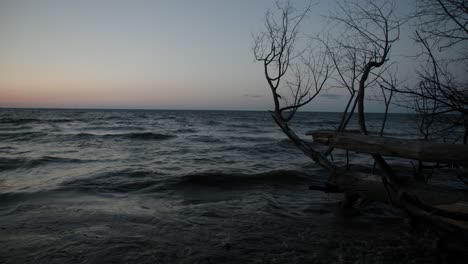 waves at blue hour