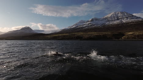 open water swimming amidst snow-capped mountains