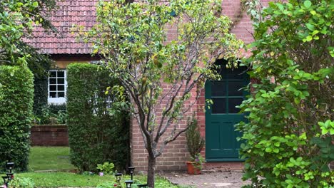 lush fruit-bearing trees and hedges in the garden of the kilns, former cs lewis house in oxford, uk