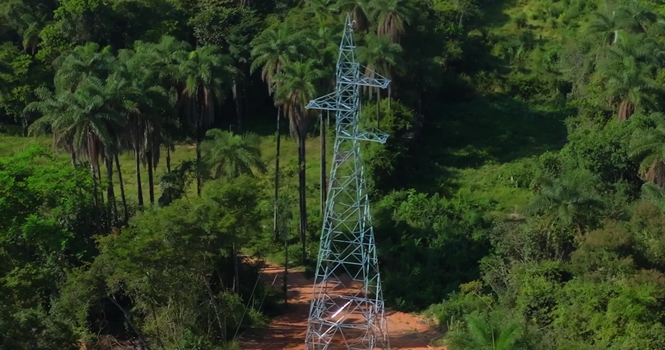 Electric transmission tower corridor crossing Cerrado vegetation in Goiás, Brazil, surrounded by tropical savanna woodland, palm species and fragmented native biome, aerial lateral tracking shot.