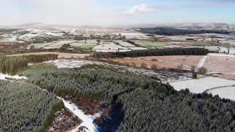 levantamiento de tiro aéreo nevado mirando por encima del bosque de bellever y dartmoor devon, inglaterra