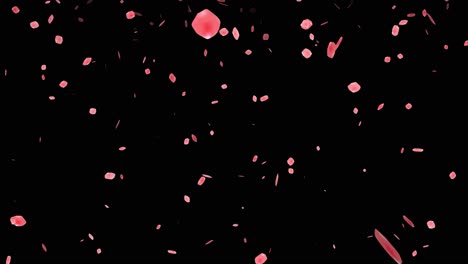 pink petals falling on black background