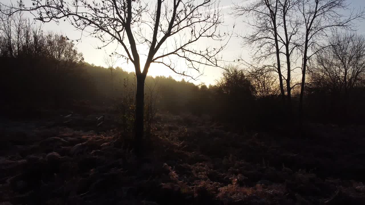 A winter sunrise with a hazy glow and light frost in the heart of Kent. The DJI Mini 2 living up to its purpose of capturing full detail and colour.