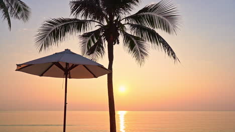 vista perfecta de la puesta de sol roja desde el salón del complejo hotelero tropical cerca del mar, sombrillas de playa y silueta de palma de coco en primer plano