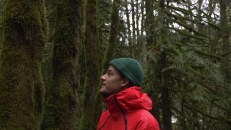 young adult male close up in lush green forest enjoying nature slomo