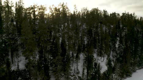 aerial pan of sun setting behind the winter boreal forest meeting a frozen lake shore in northern canada