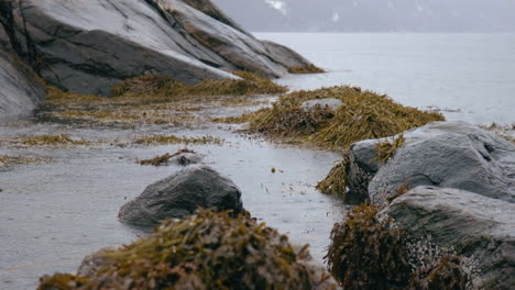 Steine,-Die-Im-Meer-Liegen,-Wenn-Es-Regnet