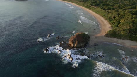 the natural nesting habitat of leatherback turtles captured from high above by a drone