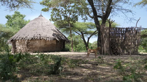 Ziway-village-outside-Addis-Ababa,-Ethiopia