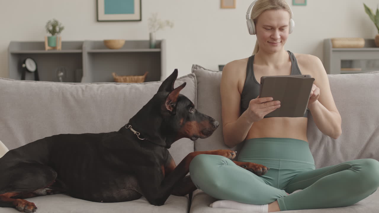 Dog Watching Woman Using Tablet Computer