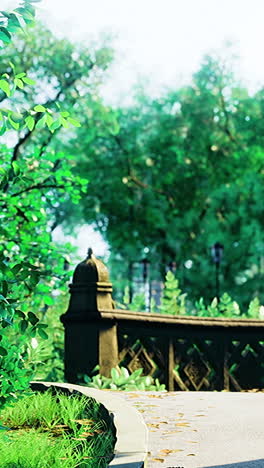 serene pathway through lush greenery in a tranquil park setting