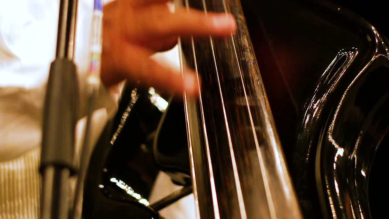 primer plano de macho adulto tocando el violonchelo en un concierto por la noche