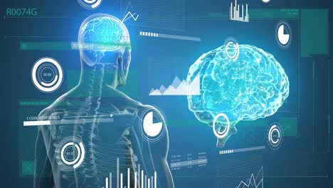 animación de gráficos, círculos de carga y barras sobre el cuerpo humano y el cerebro sobre fondo azul