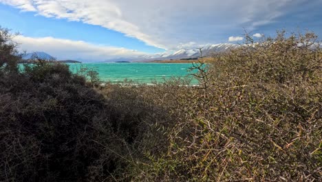 camera pans across thorny shrubs revealing a turquoise lake, distant snow-capped mountains, and dramatic clouds under natural daylight in a wild landscape