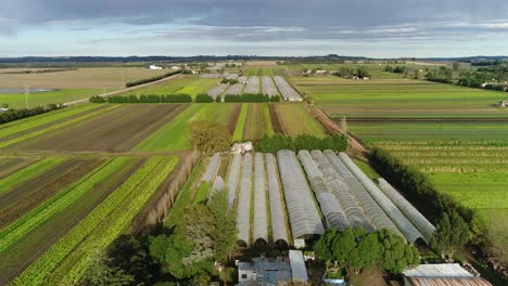 an indoor farm in the city of mar del plata