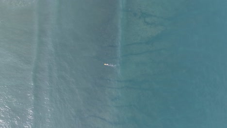 high altitude top down drone shot of unrecognizeable surfers in turquoise tropical water in bali indonesia
