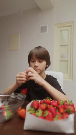boy eating strawberries