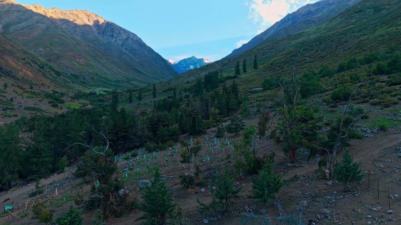 Elevated aerial view of the vegetation of the valley of the Andes Mountains in Yerba Loca Park with camping near Santiago, Chile.