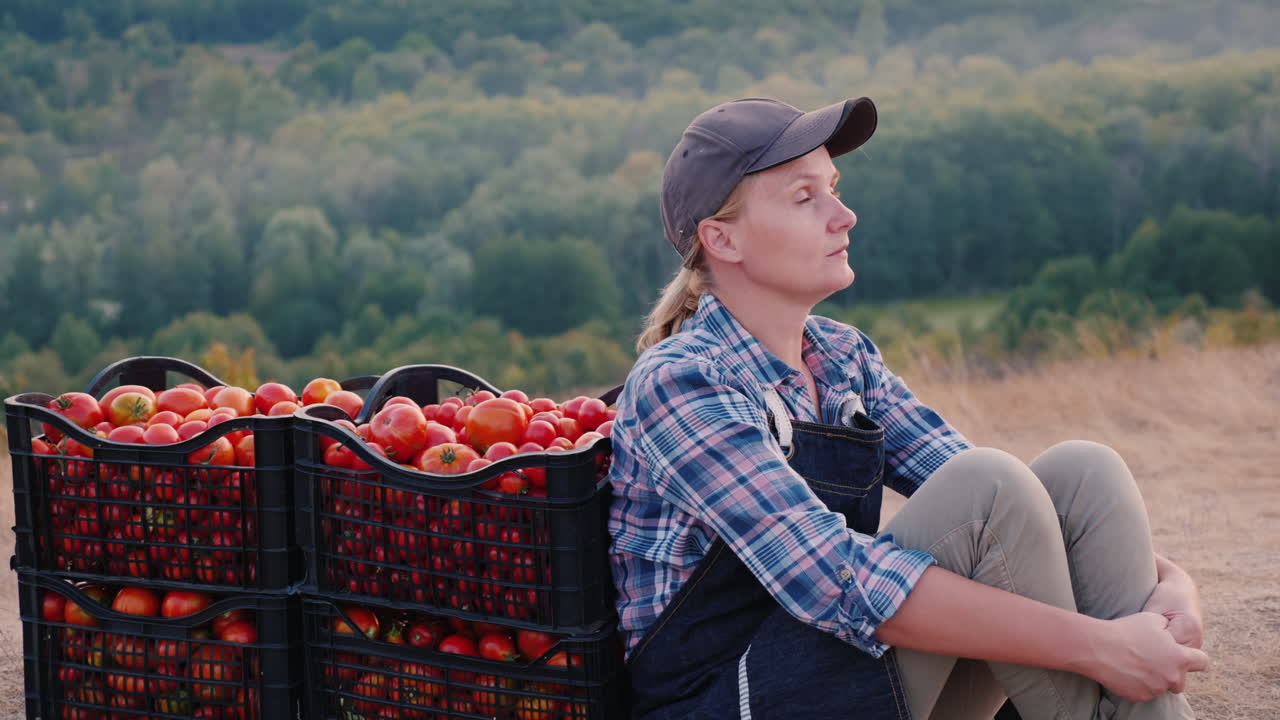 mujer agricultora descansando después del trabajo sentada cerca de cajas con tomates