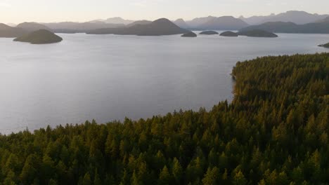 The-BC-Coastal-forests-of-British-Columbia-near-Vancouver-Island,-Canada