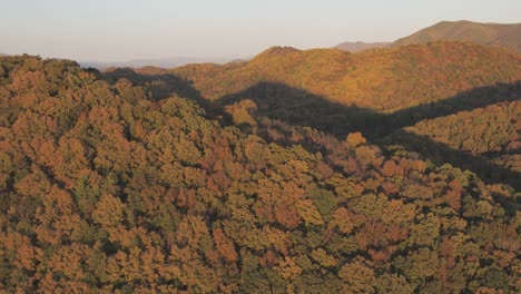 Die-Bergkette-Des-Buchtwaldes