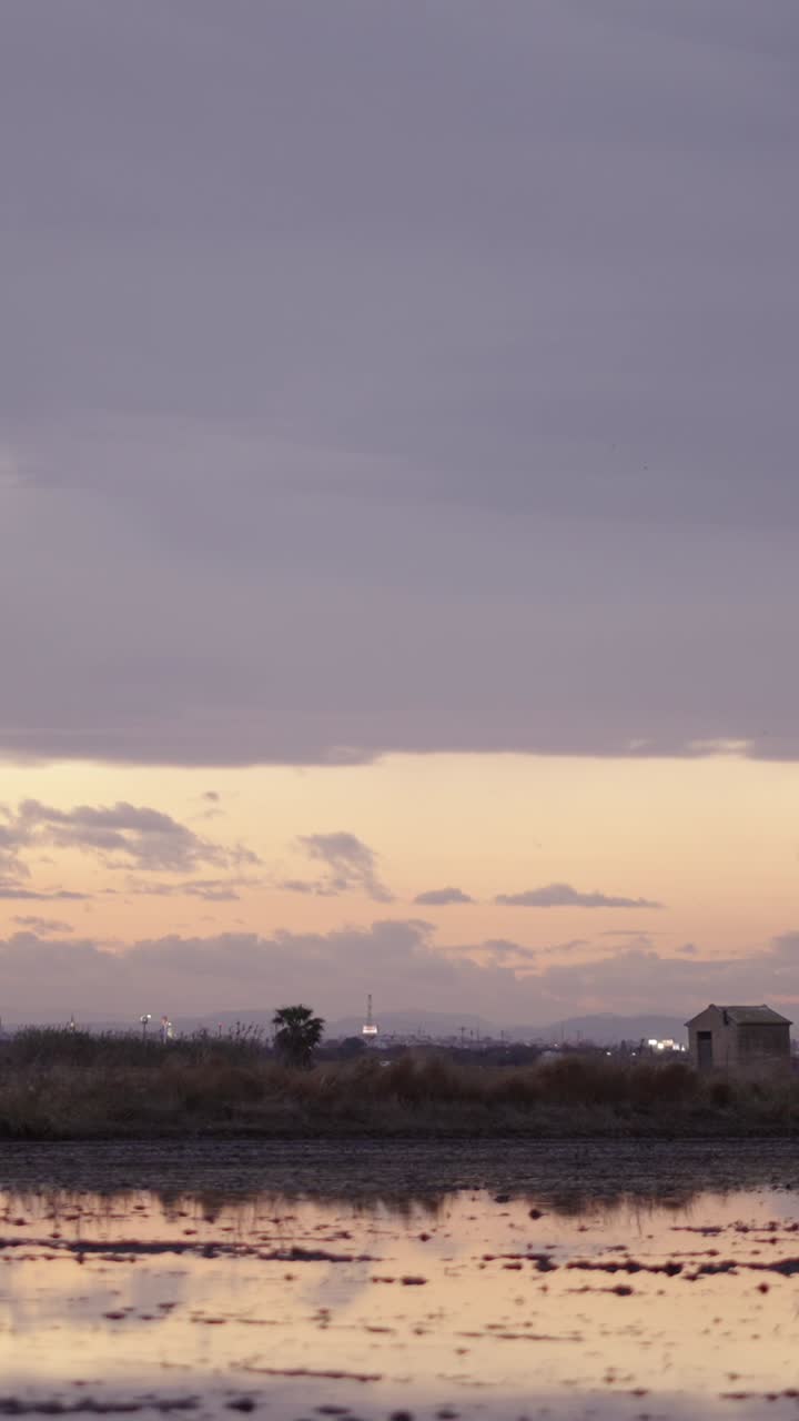 Sunset landscape with birds and reflections in water