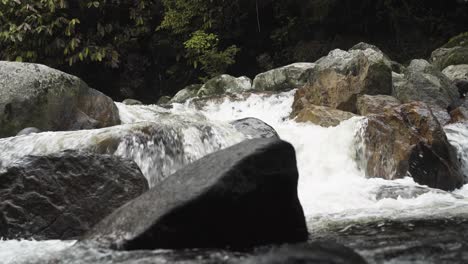 Cerca-De-La-Corriente-Del-Río-En-Un-Bosque-Tropical