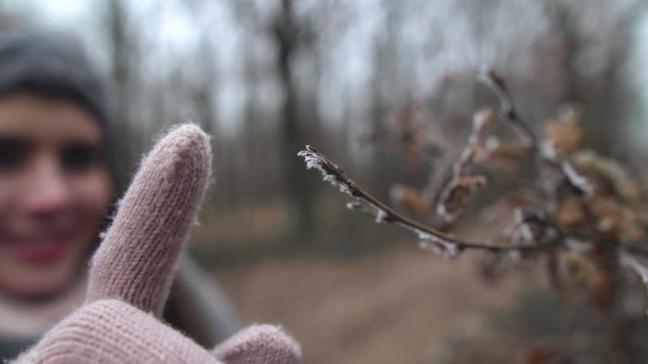 Smiling young caucasian woman touching frosty tip of dry branch while little pieces of ice are falling off, SLOW MOTION