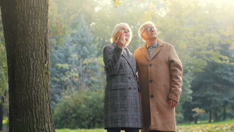 elderly couple in the park