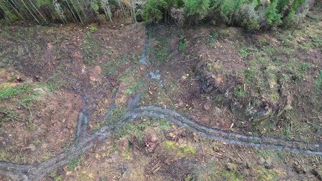 aerial footage showing the impact of deforestation on the land- camera tilting up