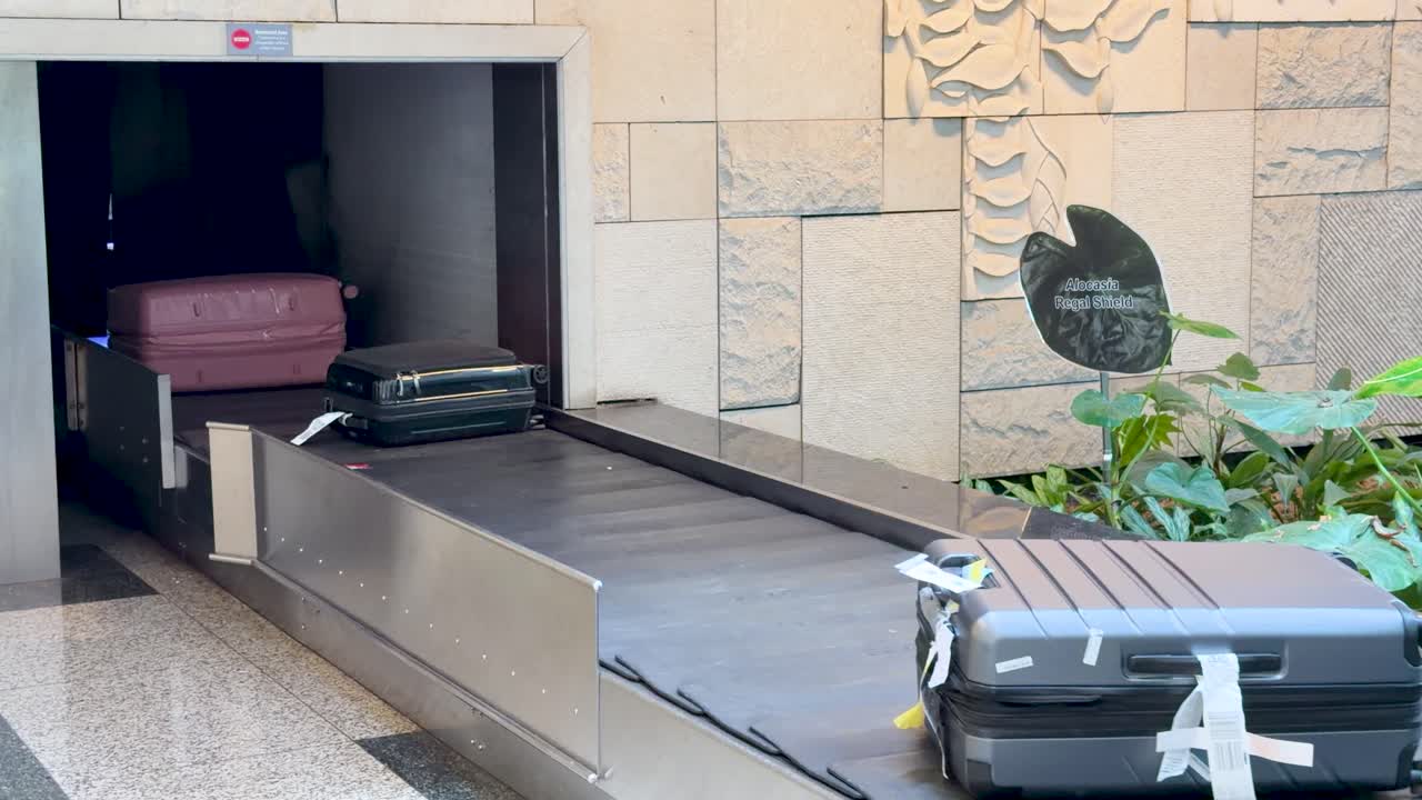 空港の荷物受取ターミナルで、スーツケースとバッグがコンベアベルト上を移動する