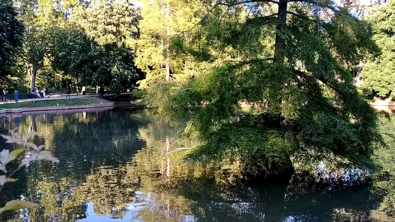 스페인 마드리드의 레티로 공원에 있는 크리스탈 궁전 건물 옆의 작은 연못