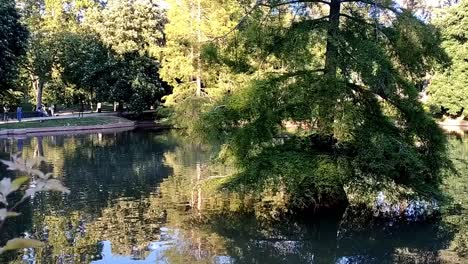 small pond by crystal palace building in retiro park in madrid, spain