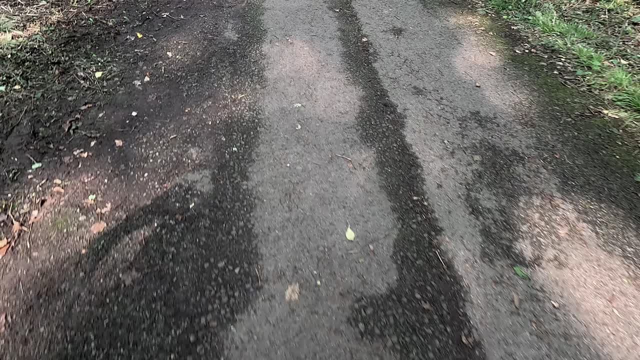 그늘진 길 을 따라 산책 하는 것