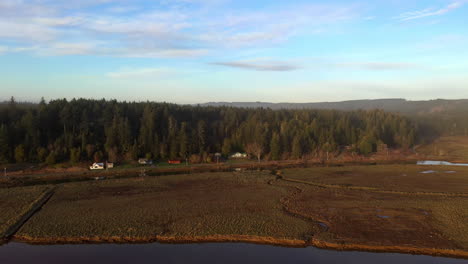 Beautiful-Scenery-With-Houses-At-Coniferous-Forest-At-North-Bank-Lane-In-Bandon,-Oregon