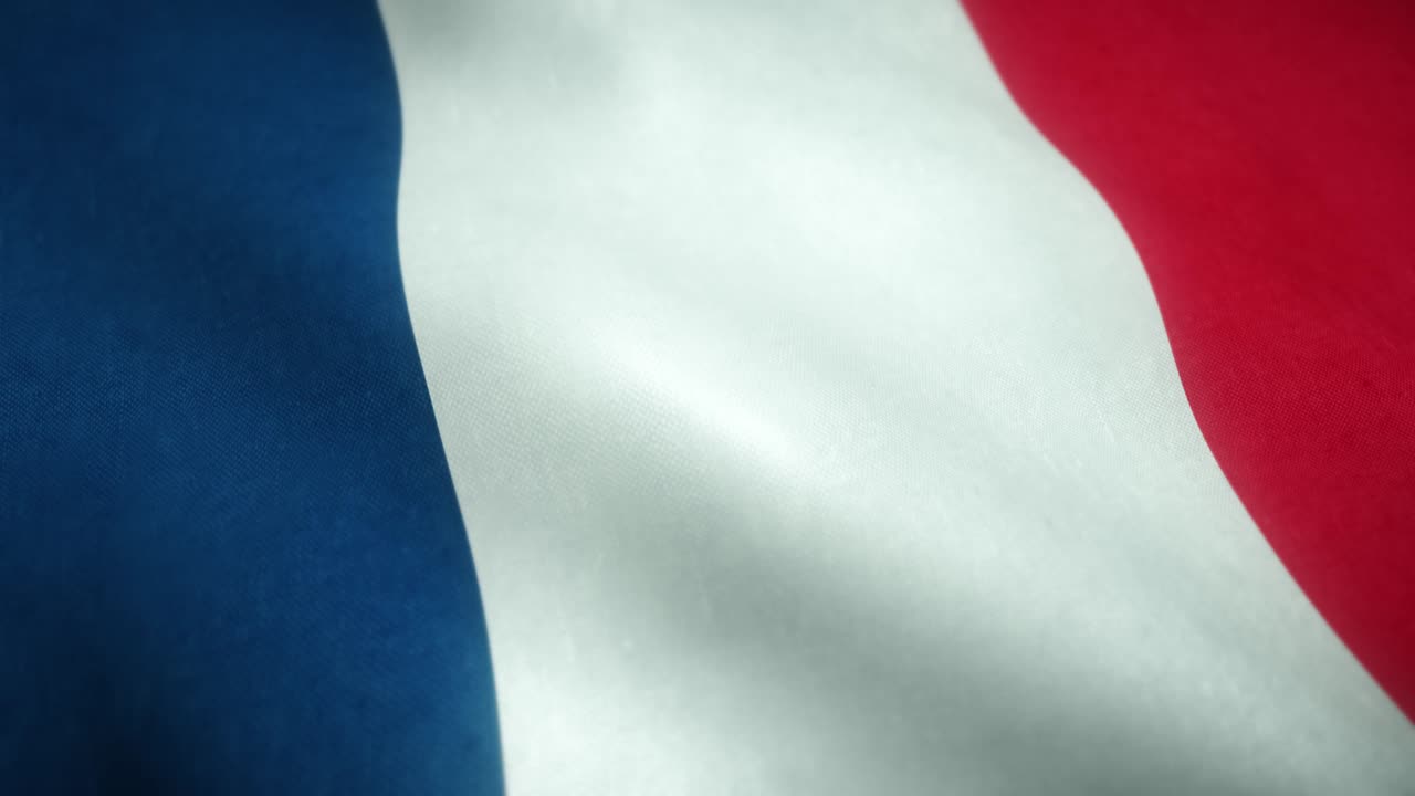 바람에 흔들리는 프랑스의 발