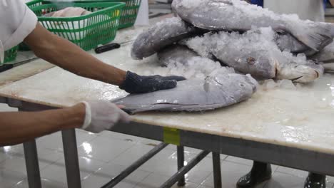 close-up-of-fresh-cut-sea-fish-meat