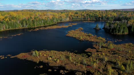 aerial orbit around a boggy island in a shallow pond in late autumn forest