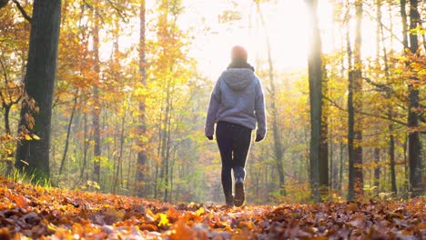 Mujer-Caminando-Por-El-Bosque-Amarillo-En-El-Suelo-Lleno-De-Hojas-En-Otoño