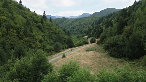 three guys hiking along a narrow path in a green valley towards the high mountains, carpathians, romania, europe, drone