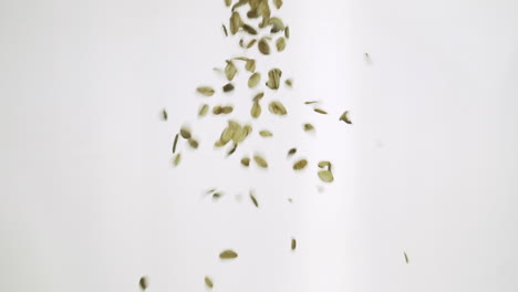 oat flakes fall in slow motion 100 fps