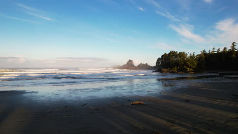 aerial through opening in tree branches onto remote tofino beach, canada