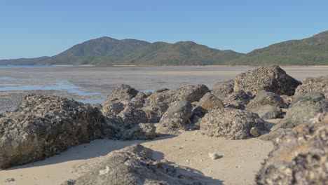 grandes rocas de playa en la costa de la isla shaw durante la marea baja durante el día soleado en whitsundays, qld, australia